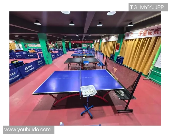 南京乒乓球队的奋斗历程与荣耀之路全景回顾