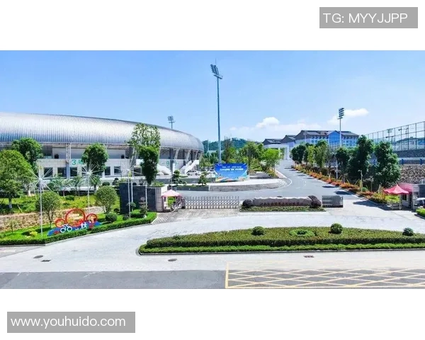 定南县足球明星的崛起与发展之路探秘与未来展望