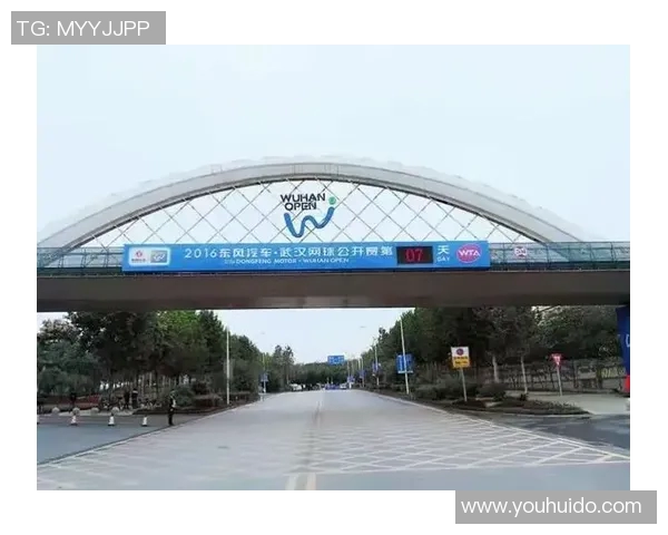 武汉网球队的节奏与表现分析：胜负背后的深层原因探讨