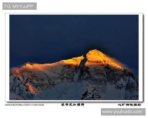 深圳极限运动队的挑战与突破：一段激情与坚持的纪实之旅