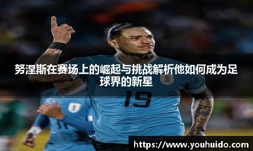 努涅斯在赛场上的崛起与挑战解析他如何成为足球界的新星